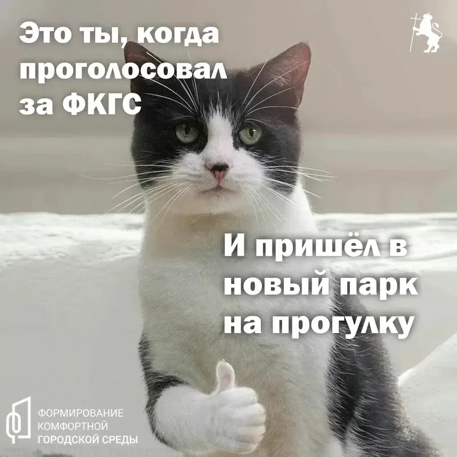 Выбираем будущее нашего города: какие общественные территории изменятся в 2027 году?  Владимир продо