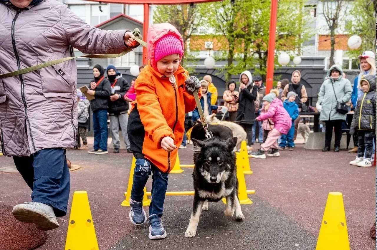 💖 Антифестиваль бездомных животных ждет вас!  Если в вашем сердце есть место для пушистого друга, и 