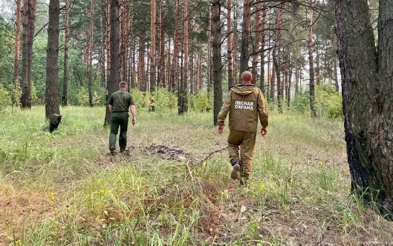 В Костромской области вводится особый противопожарный режим Соответствующее постановление подписал г