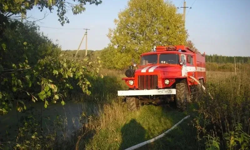 Лесной пожар возник в Межевском районе Костромской области Сообщение о возгорании поступило сегодня 
