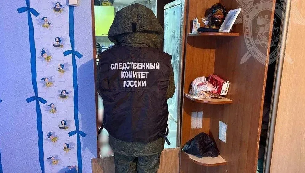 Костромичка зарезала сожителя в квартире с добрыми феями на обоях Она опомнилась и пыталась оказать 