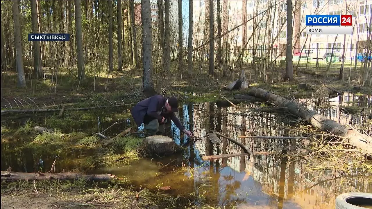 Видео