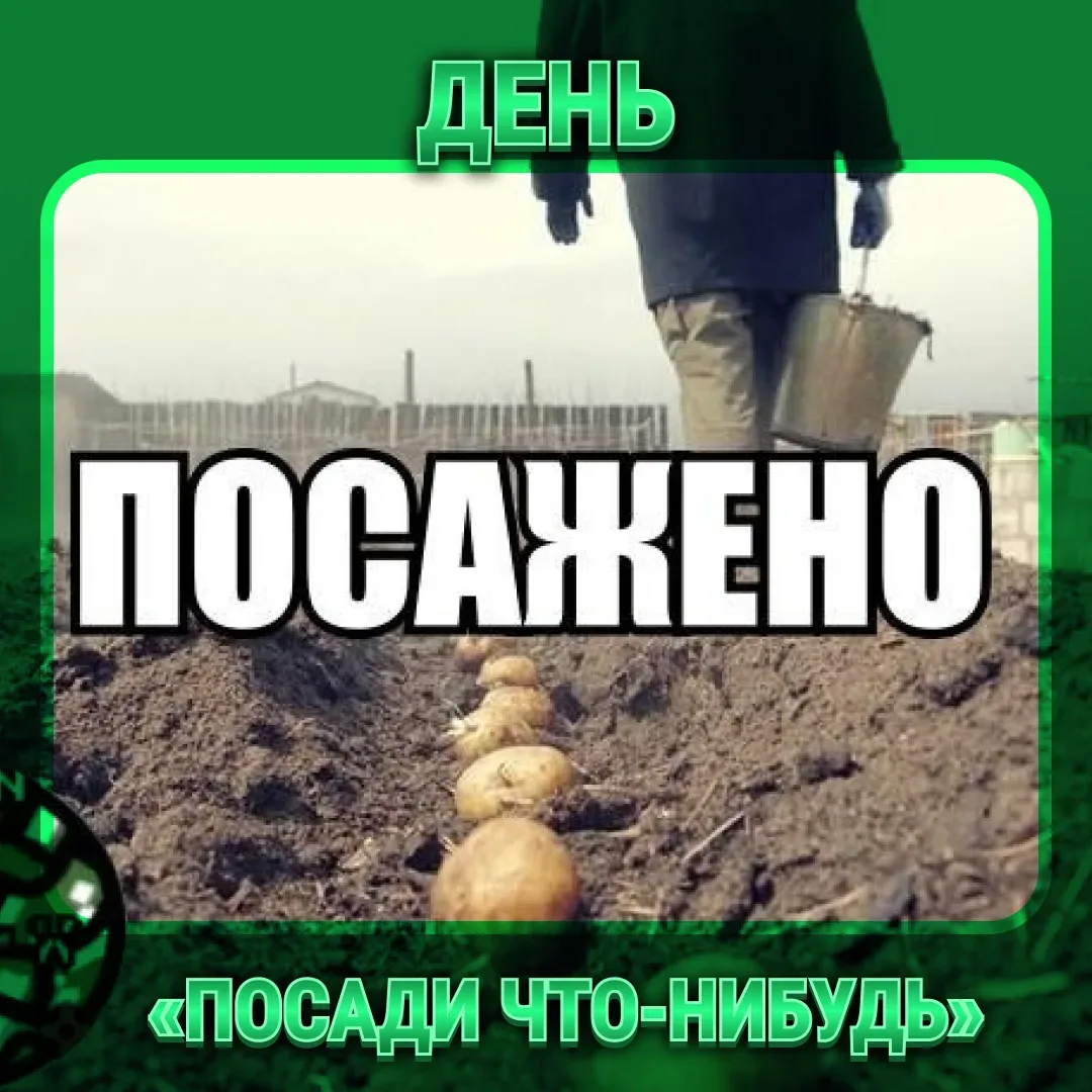 Сделайте сегодня доброе дело: посадите что-нибудь.  Кактус, базилик, надежду. Главное — начать.  Дар
