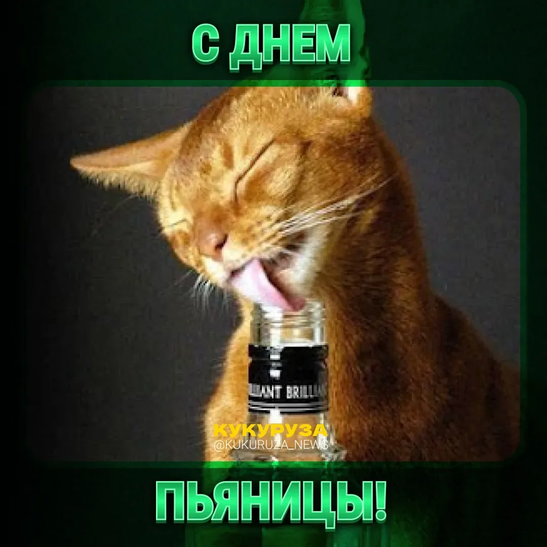 Появился повод, чтобы заточить бутылочку пивасика вечерком — сегодня отмечается День пьяницы.  Ежедн