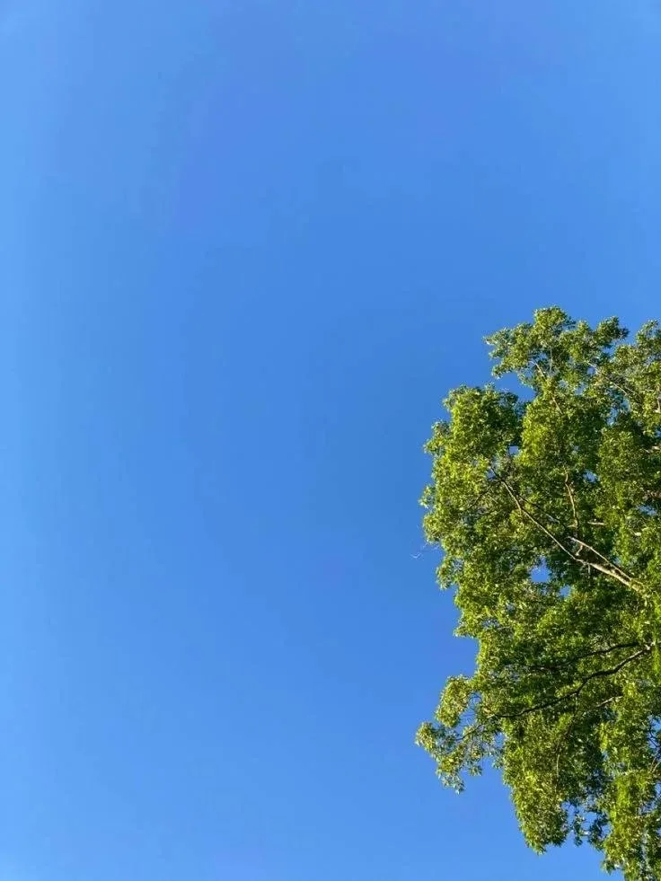 ⚠️‼️☄️Сообщается об опасности БПЛА в Дубне. Возможна работа ПВО  Просим жителей сохранять спокойстви