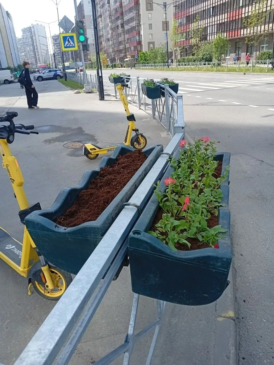 В Кудрово и Заневском поселении высадят более 8,8 тысячи цветов к лету 🌺🏡  Петунии, бегонии, немезии