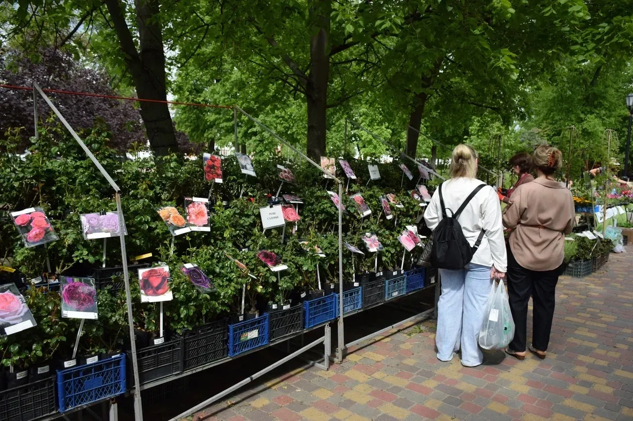 Сегодня в Тамбове стартовал ежегодный городской Фестиваль цветов. Его участниками стали более 130 лу