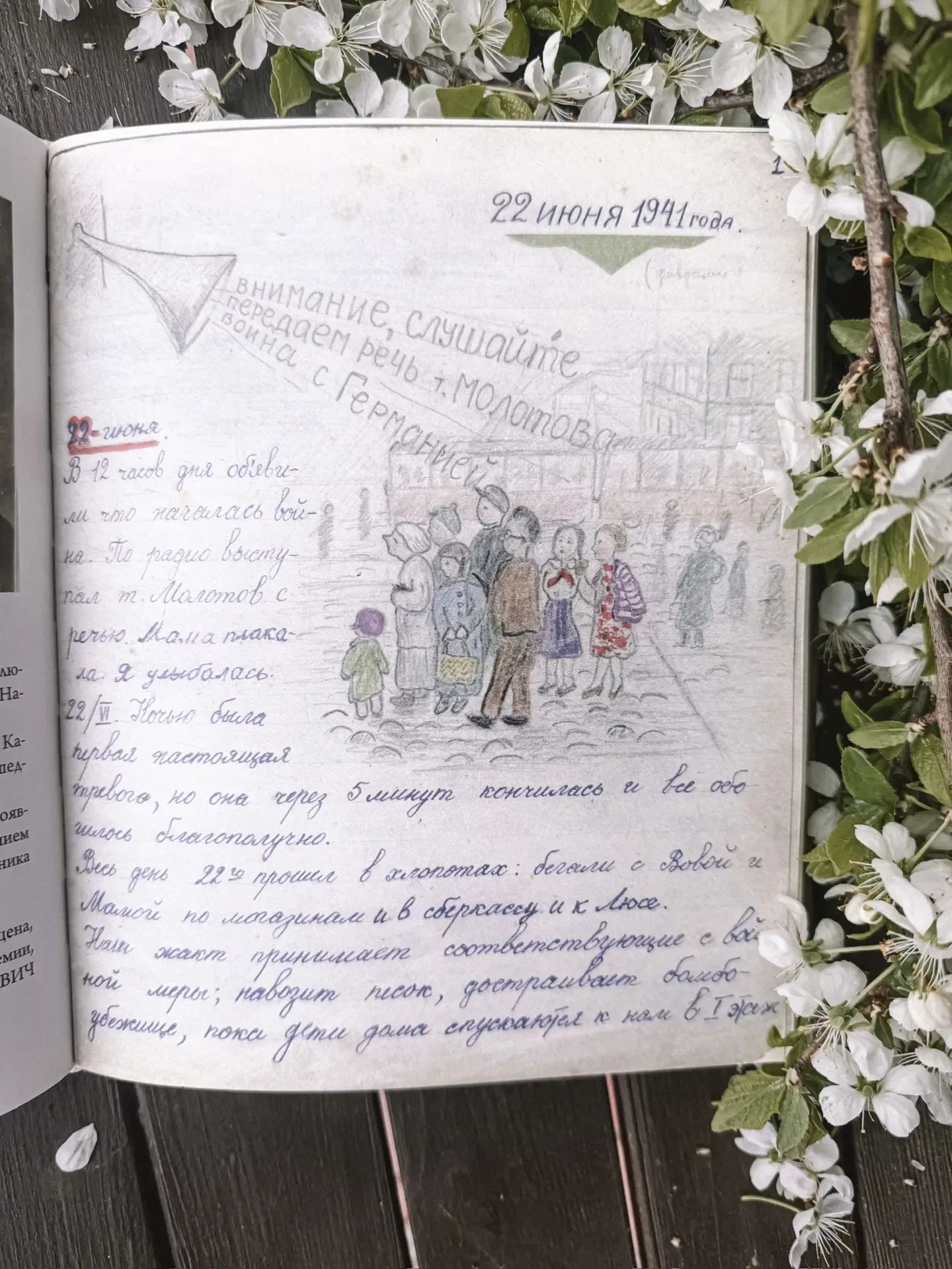 Военный дневник и блокадные письма. Таня Вассоевич.  Я очень долго ловила эту книгу, чтобы купить. Н