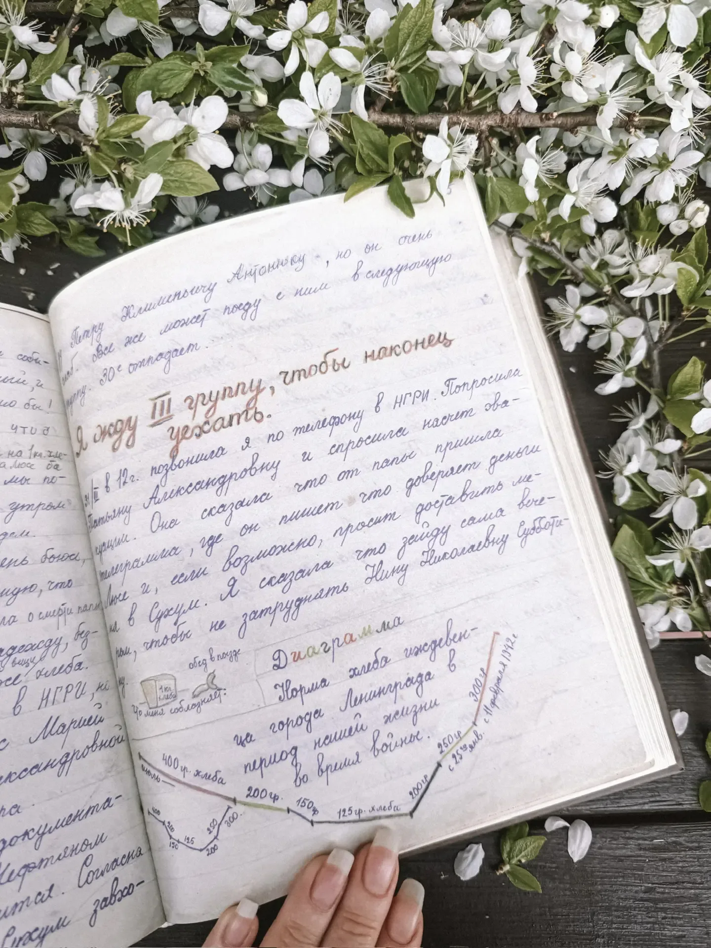 Военный дневник и блокадные письма. Таня Вассоевич.  Я очень долго ловила эту книгу, чтобы купить. Н