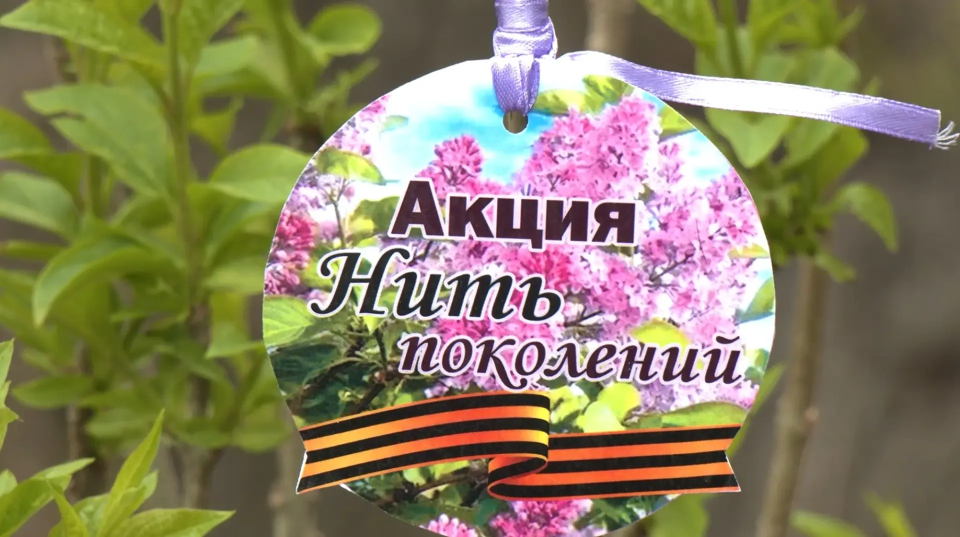 Масштабной высадкой саженцев сирени в Биробиджане стартовала акция «Нить поколений».  В рамках акции