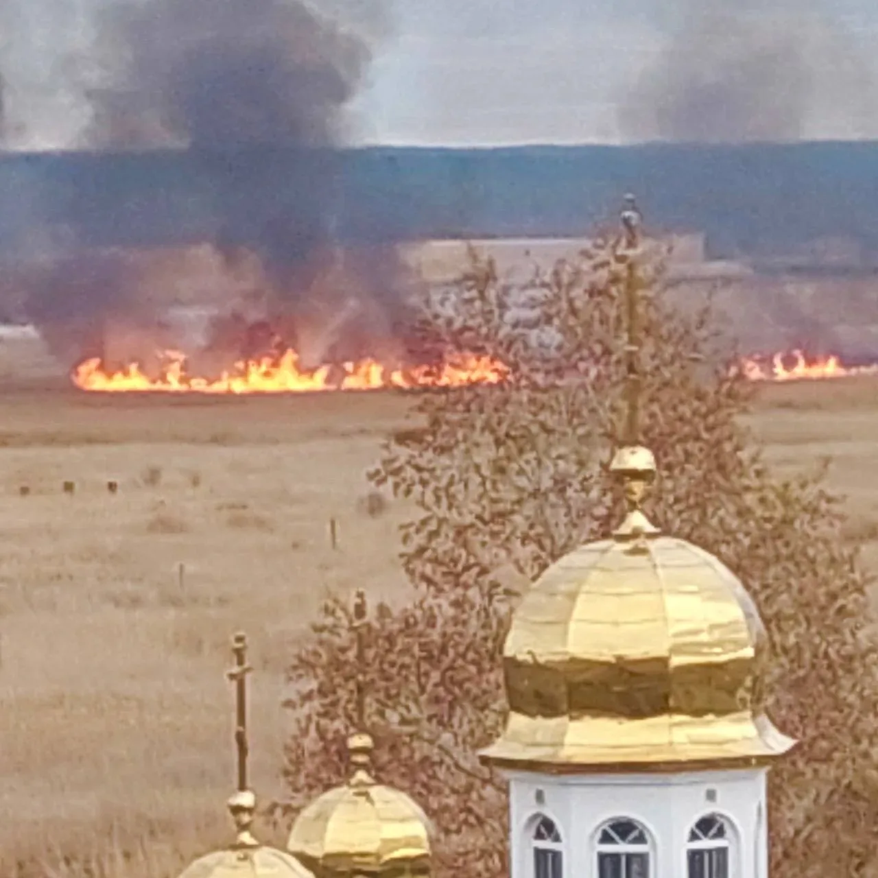 В Северодвинске полыхает трава