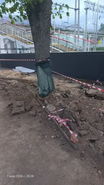 Теперь-то намного лучше?   На фото седьмого мая перед самой грозой. Ещё тогда обратили внимание на о