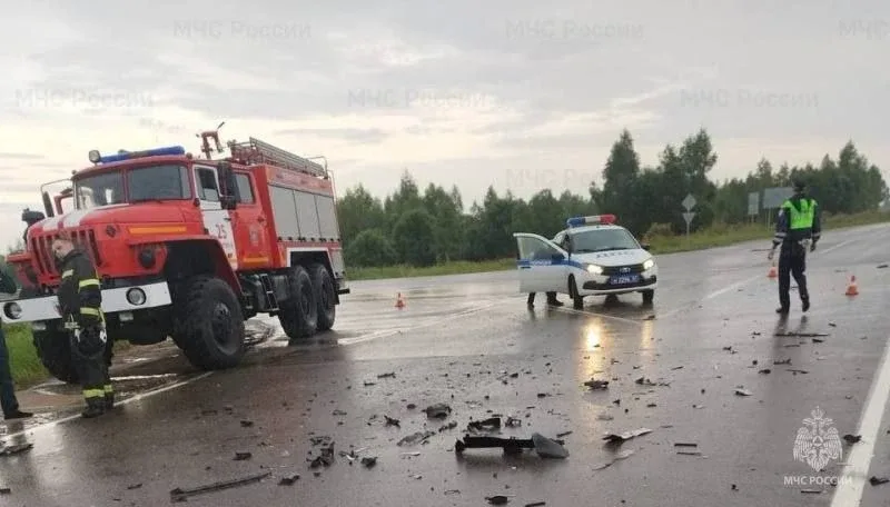 ⚡️В Смоленской области 9-летний ребенок пострадал в жутком ДТП  Накануне в Рославльском округе произ