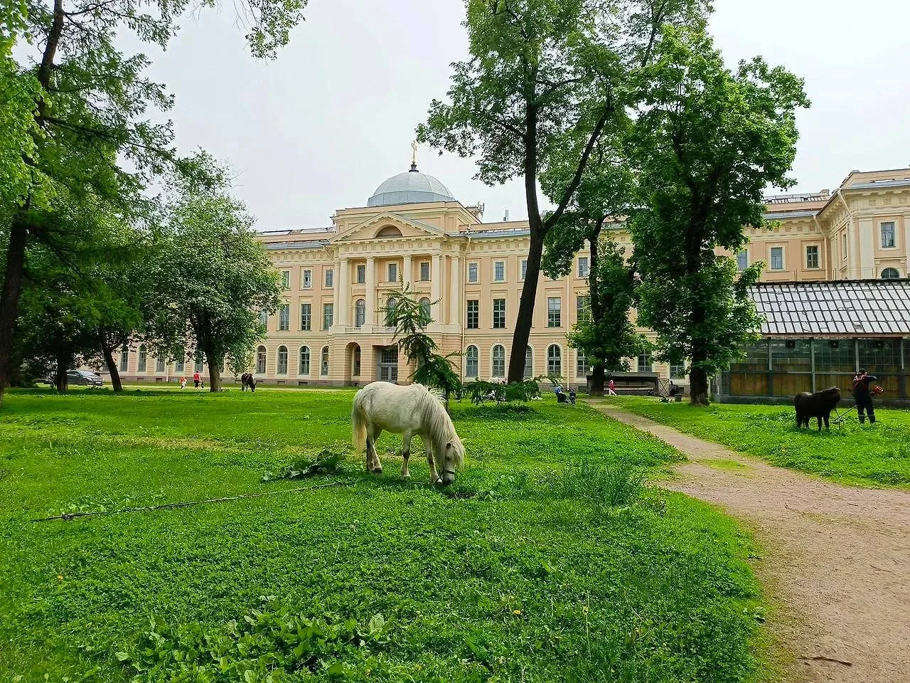 Вы знали, что в Академии художеств живут лошадки? 🐎  📍 Академический сад  При Академии художеств в С