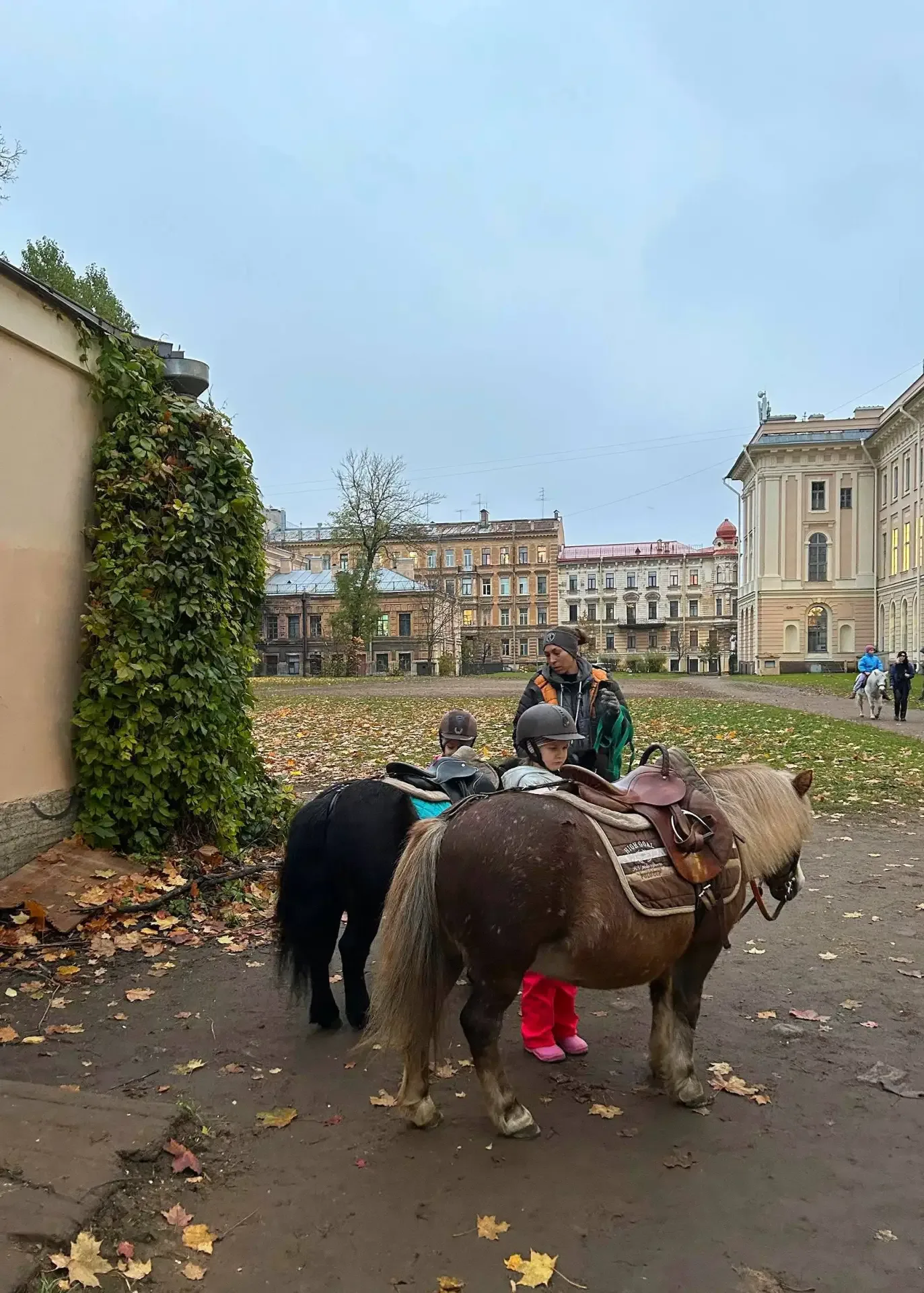 Вы знали, что в Академии художеств живут лошадки? 🐎  📍 Академический сад  При Академии художеств в С