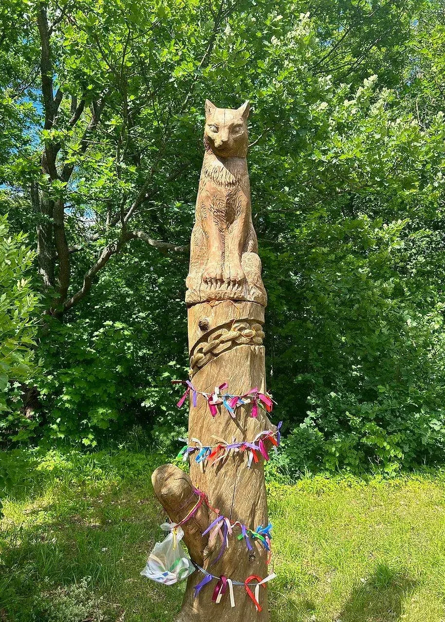 Экотропа со сказочными персонажами и старинными дубами 🌳  📍Парк Ближние Дубки  Ещё один замечательны