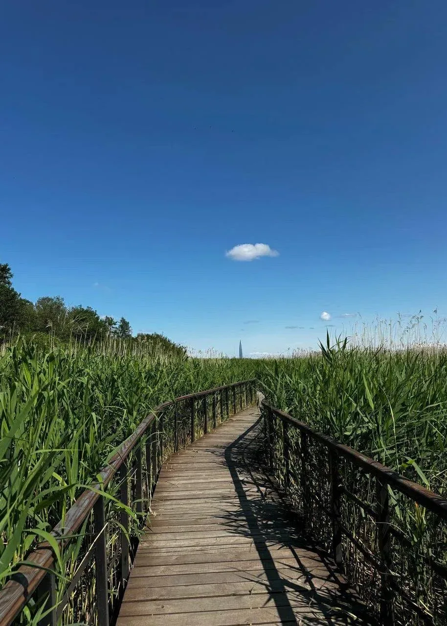Экотропа со сказочными персонажами и старинными дубами 🌳  📍Парк Ближние Дубки  Ещё один замечательны