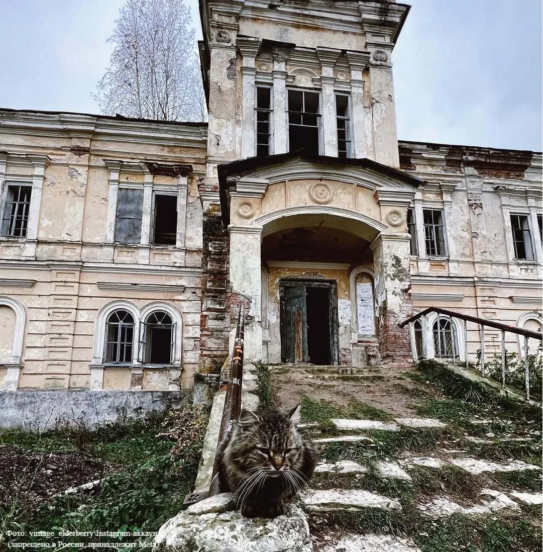 🏰 Окутанная тайнами усадьба Перси-Френч в Тереньге  Родилась в Париже, владела несметными богатствам