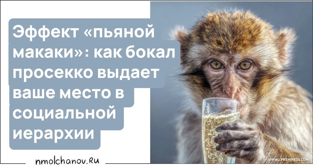 Наши предки жили до обидного мало. Средняя продолжительность жизни в Средневековье, согласно Пастуро