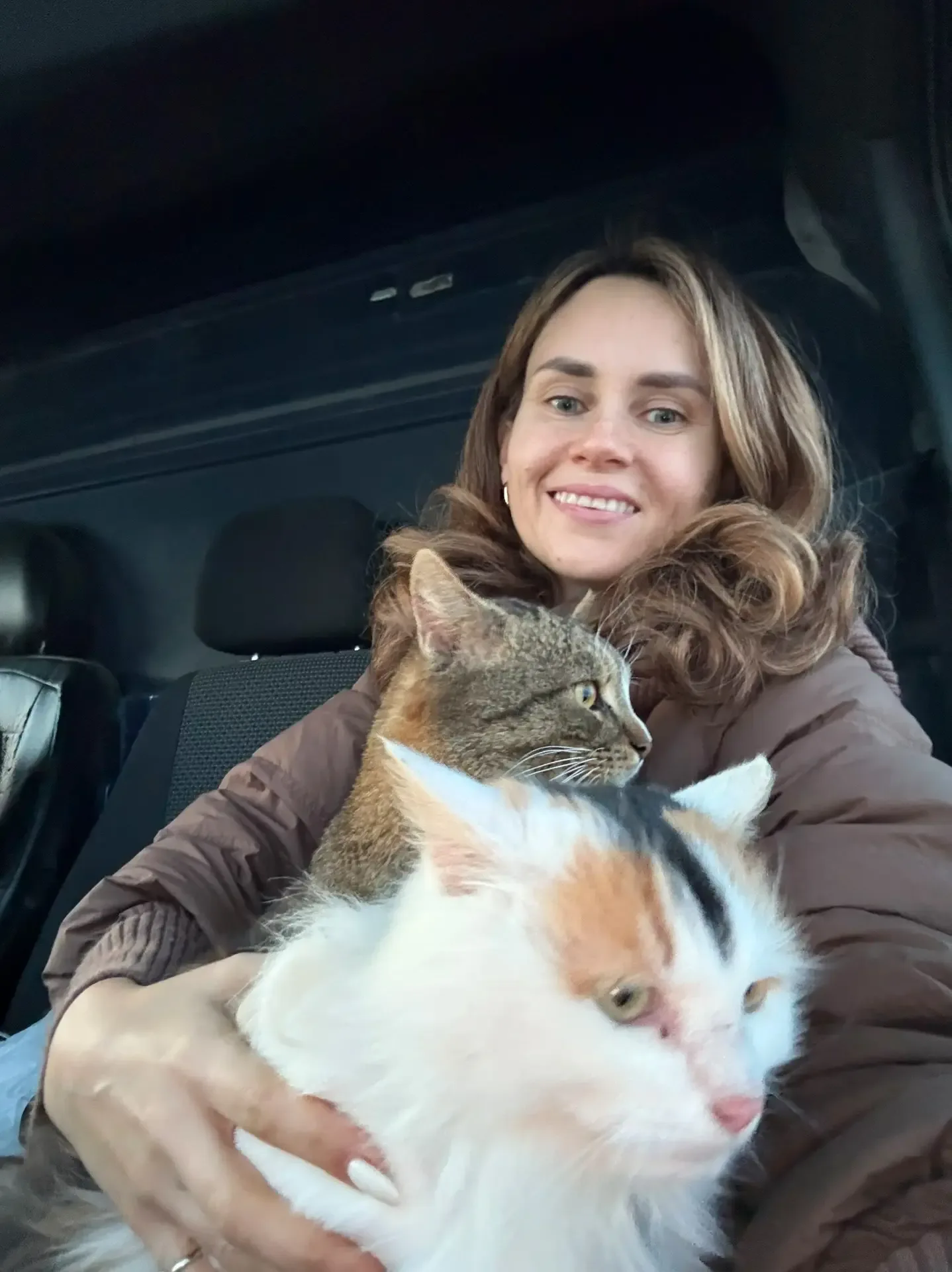Все животные, которые у нас есть, пришли к нам сами😇  Мурочка - 4 года назад. Джонсон - 1,5 года наз
