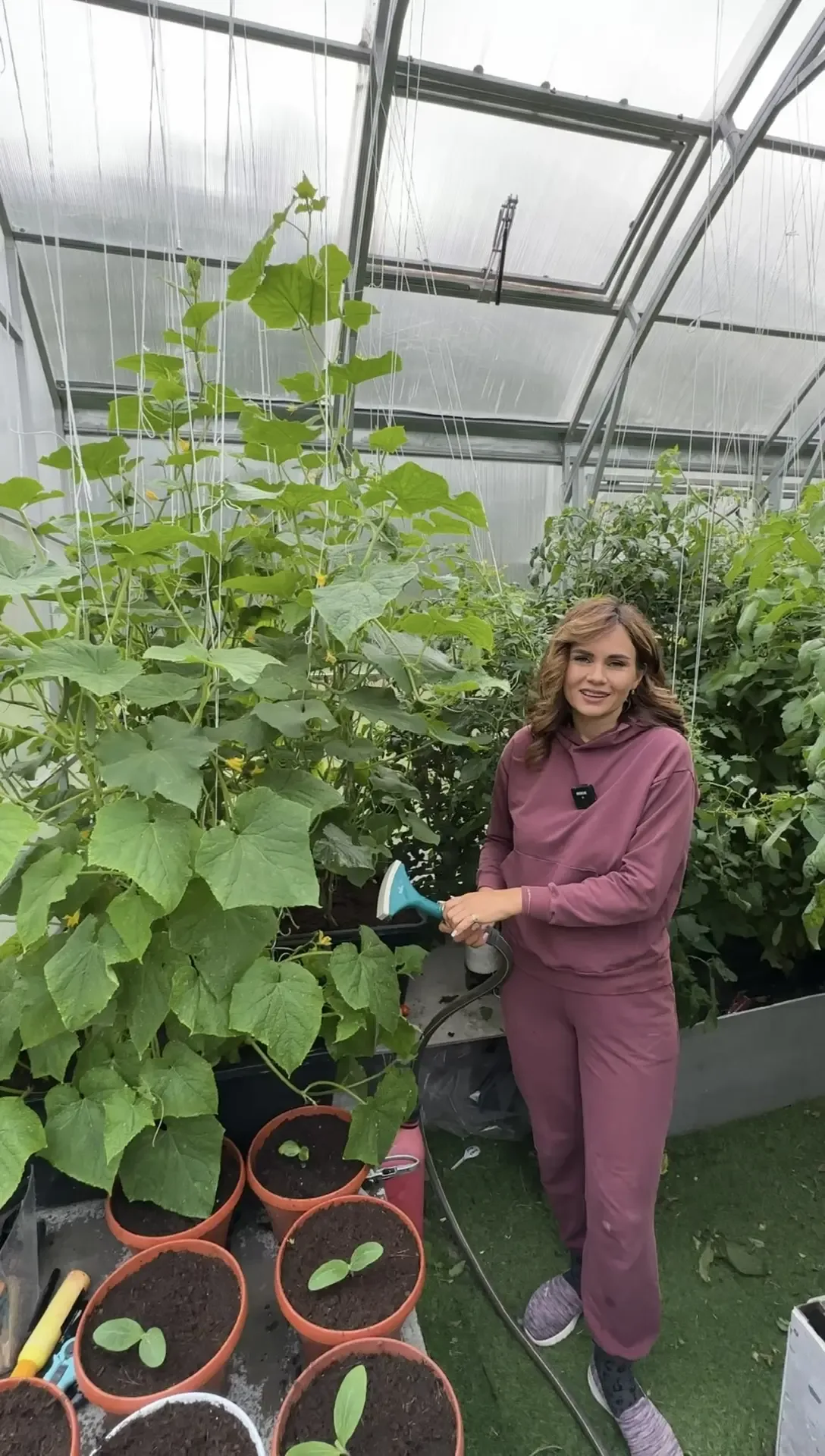 Что можно посеять из овощей и цветов сейчас🌿  Огурцы - в теплицу и для парников на улице. 20 дней и 