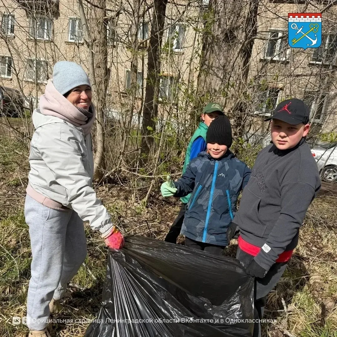Сертолово | Новое Сертолово | Санкт-Петербург🏡  В Ленобласти привели в порядок 1945 территорий во вр