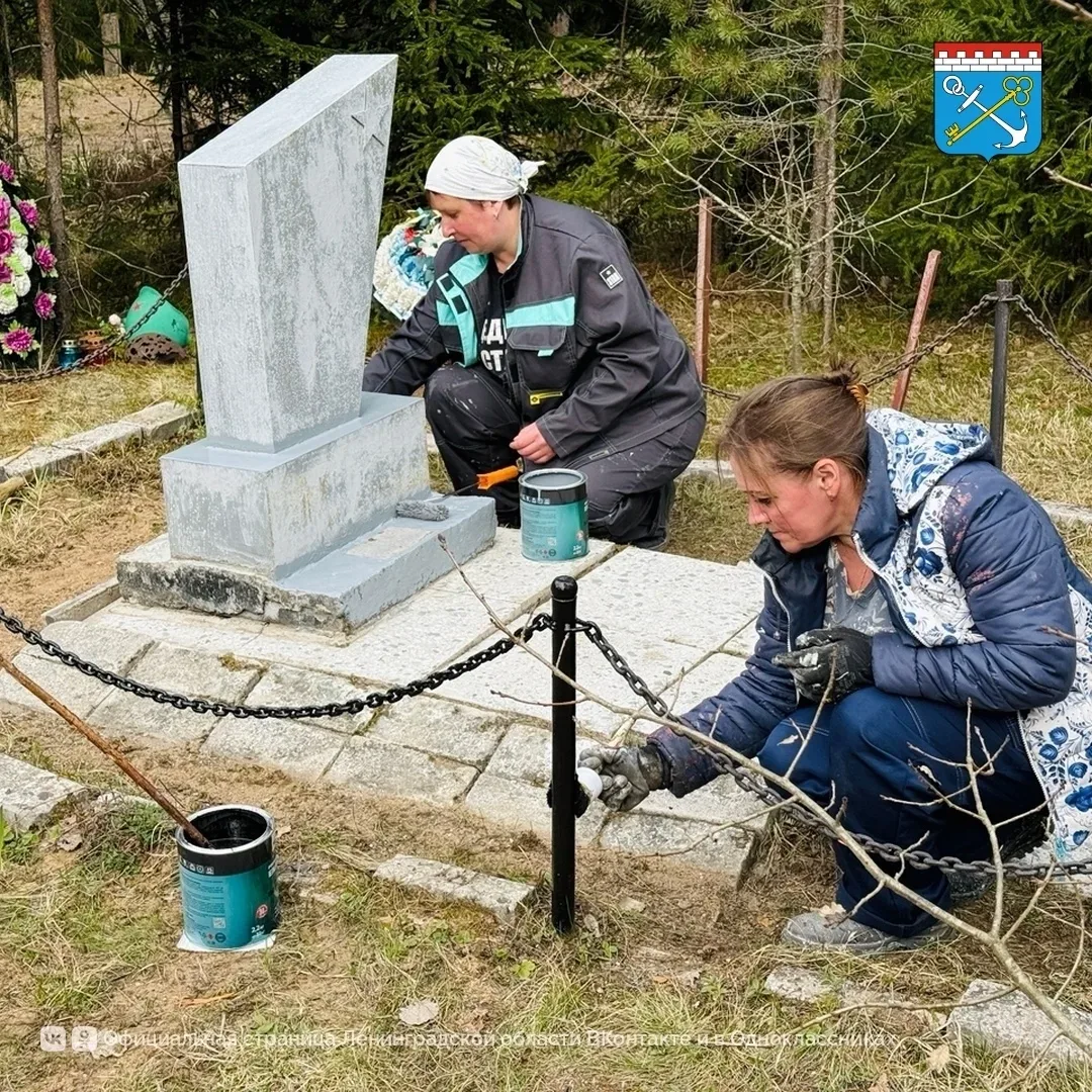 Сертолово | Новое Сертолово | Санкт-Петербург🏡  В Ленобласти привели в порядок 1945 территорий во вр