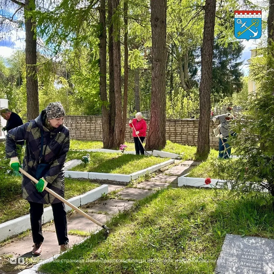 Сертолово | Новое Сертолово | Санкт-Петербург🏡  В Ленобласти привели в порядок 1945 территорий во вр