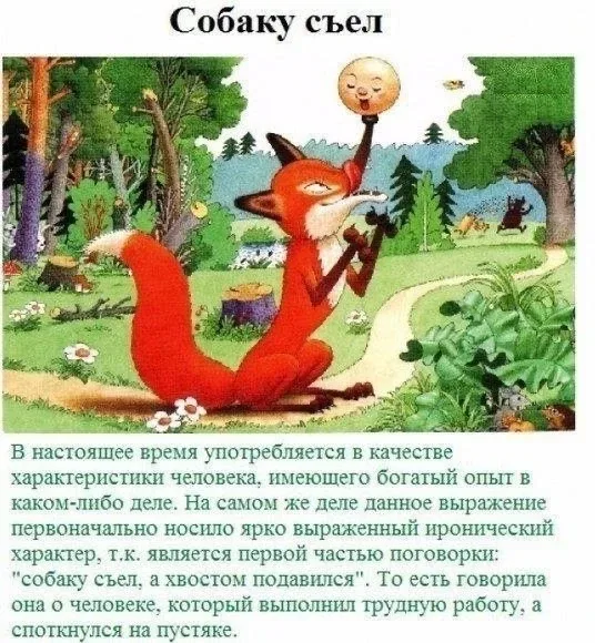 История и значение пословиц  — — — Было полезно для вас? ❤🔥👍