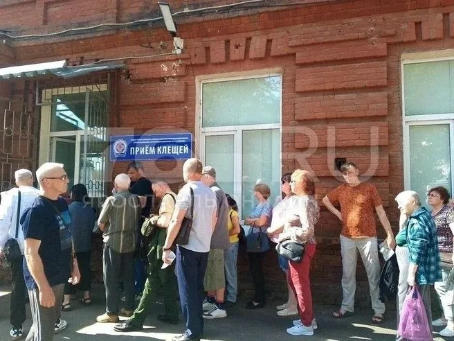 В Ярославле у больницы выстроилась большая очередь из укушенных клещами  Около 50 человек принесли н