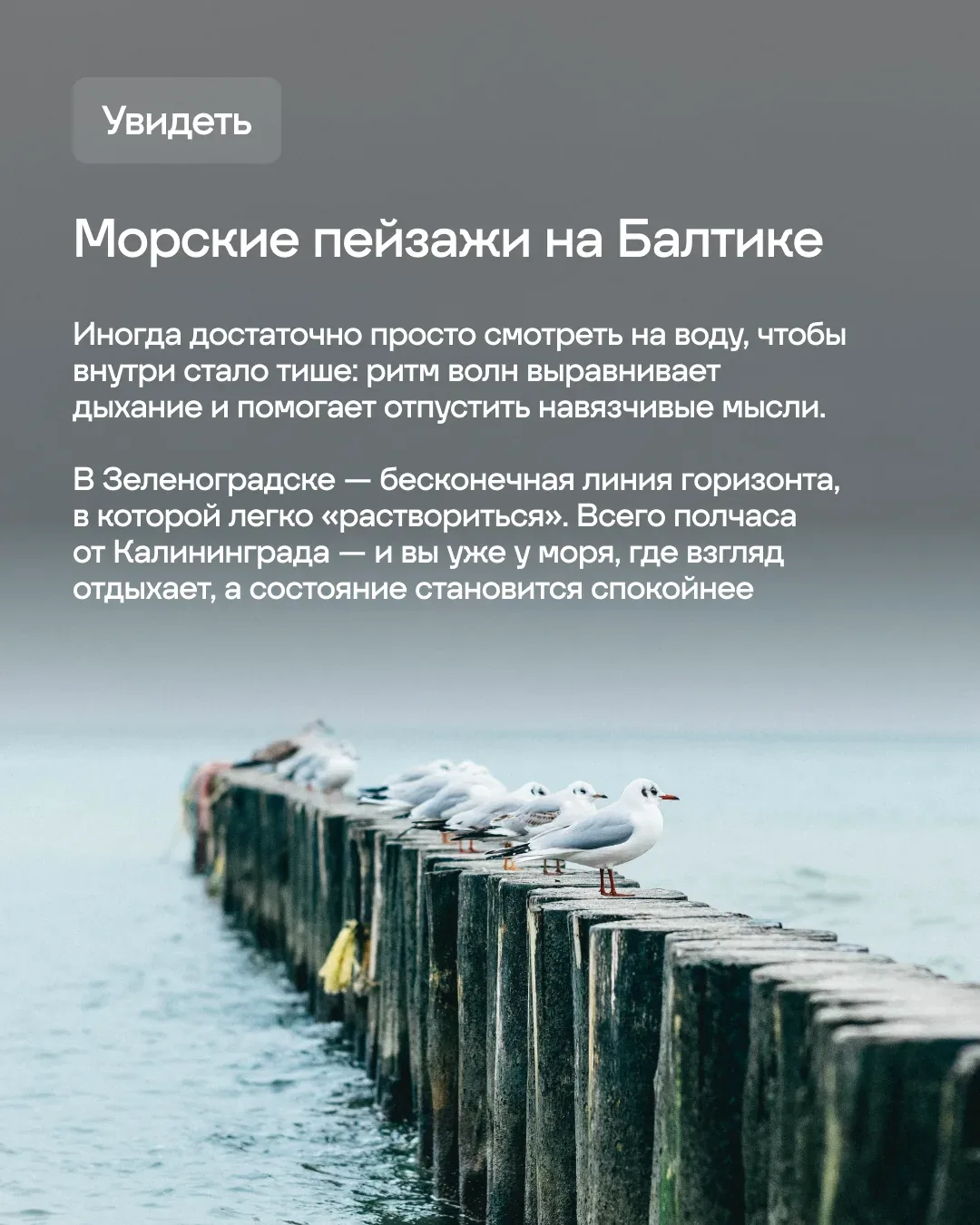 👀 А что, если город можно не только увидеть, но и буквально прожить всеми чувствами?   Калининград д