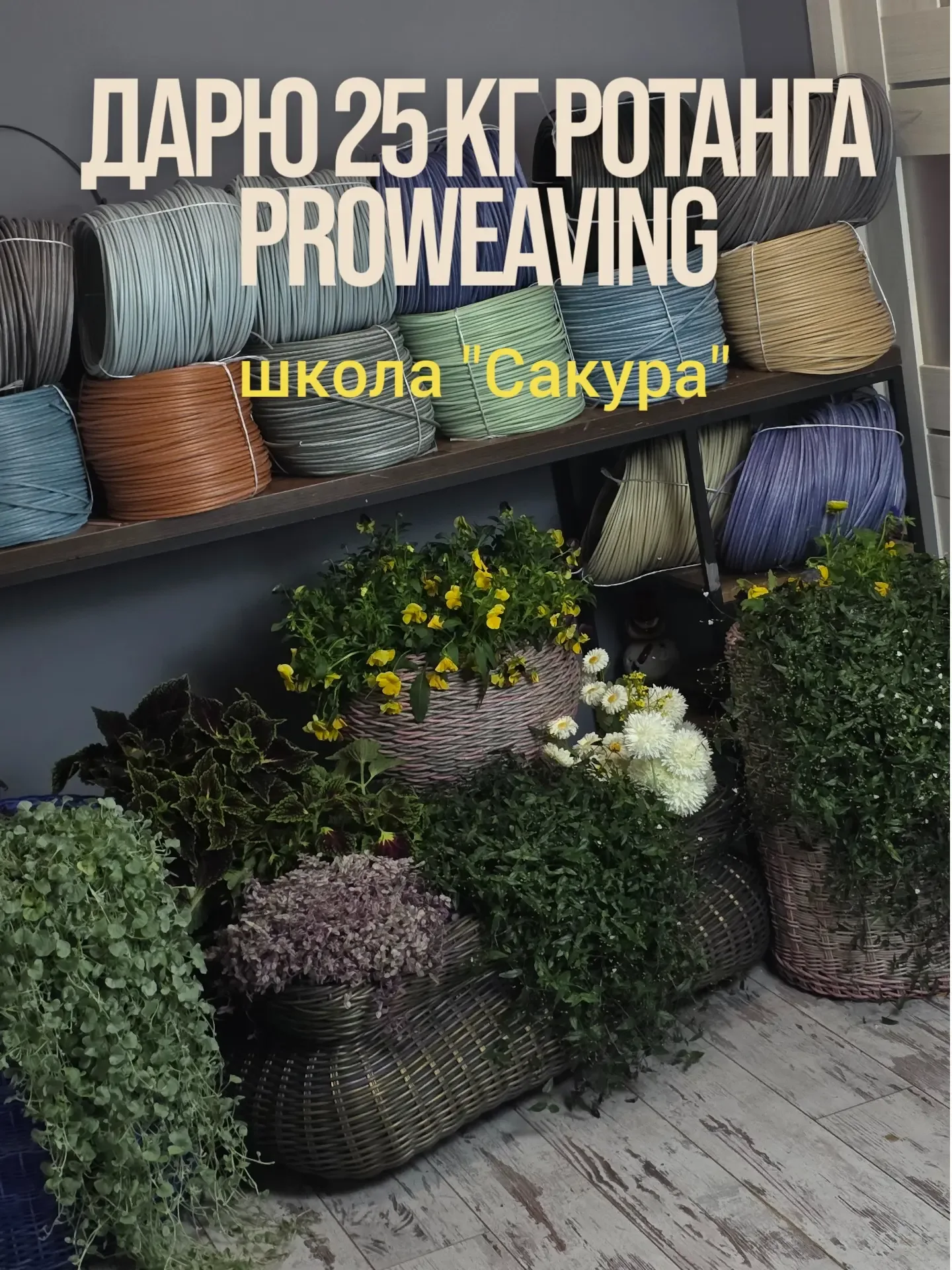 Дарю 25 кг Ротанга PROweaving!!! Да да, самую новую серию Хамелеон!!  Лето в Донате!!!  Приглашаем в
