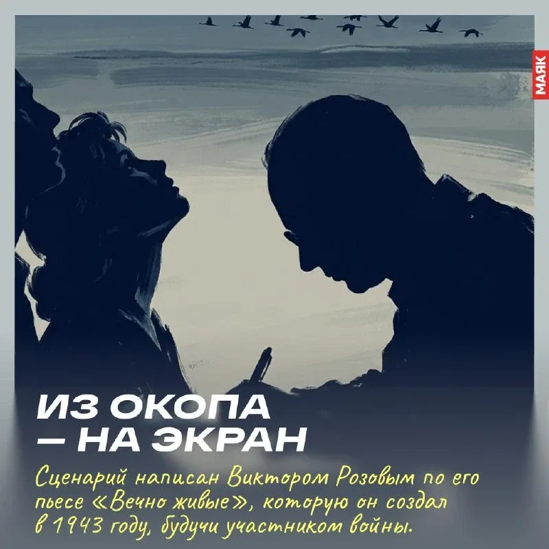 «Летят журавли» — один из самых любимых военных фильмов в нашей стране. И не случайно.  Это кино не 