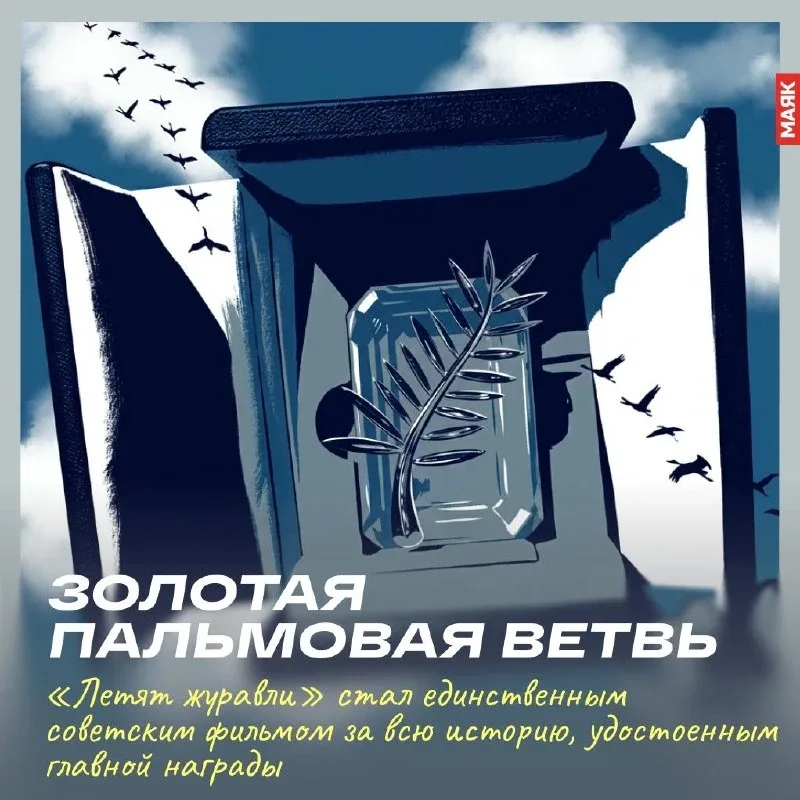«Летят журавли» — один из самых любимых военных фильмов в нашей стране. И не случайно.  Это кино не 
