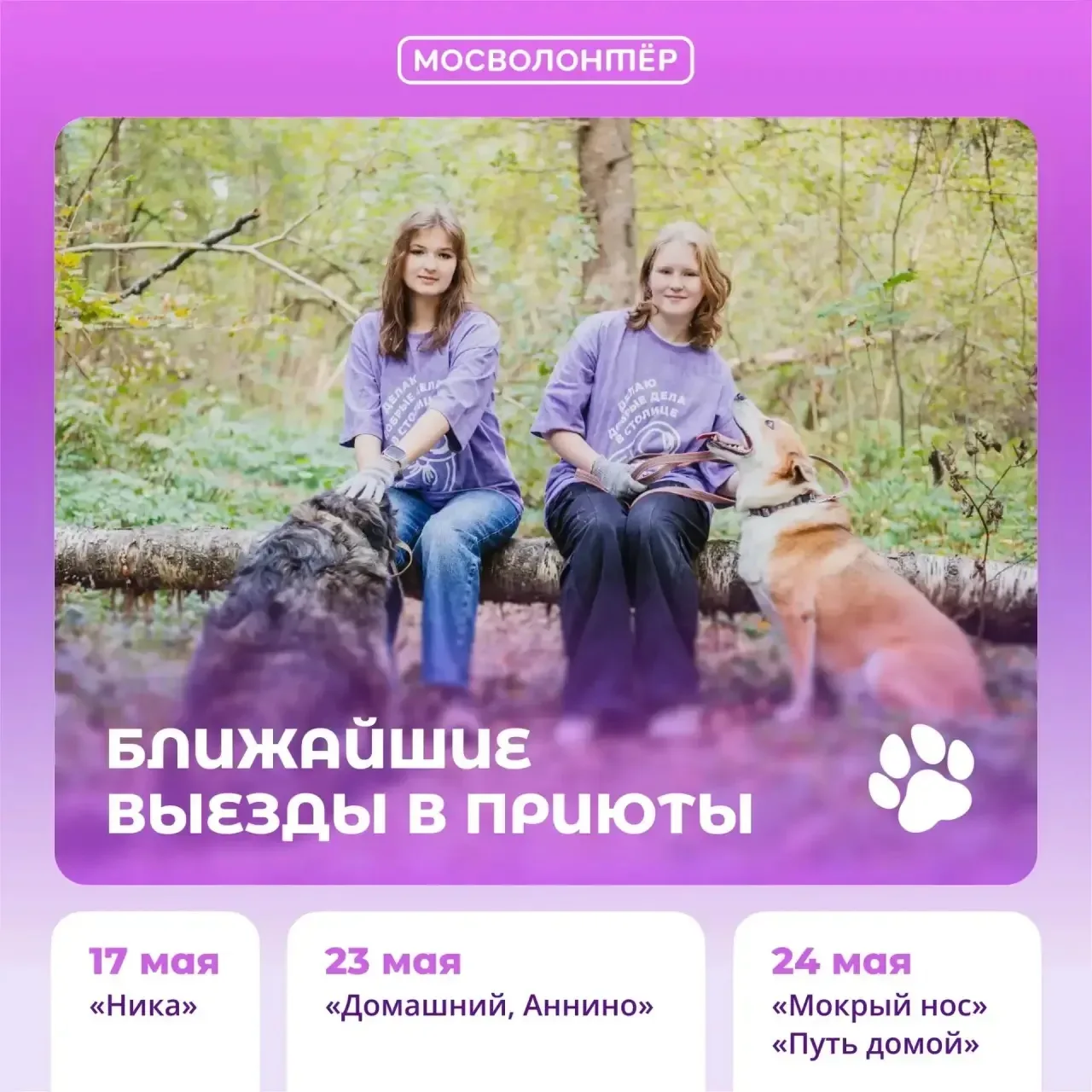 Секрет идеальных выходных: прогулка, виляющий хвост и благодарные глаза  Устал от суеты и хочешь иск