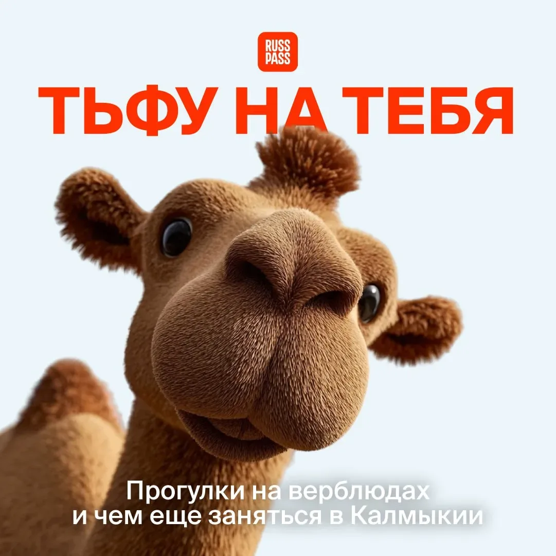 👀 Мы не суеверные, но поплевать три раза, когда дело касается поездок, лишним не будет. В планах на 