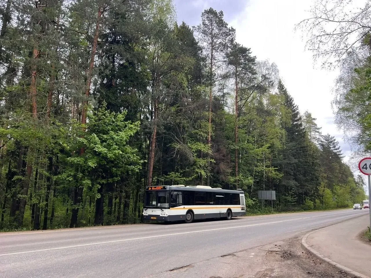 🚍 Дачный сезон только начался, а жители и гости Подмосковья уже совершили более 314 тысяч поездок на