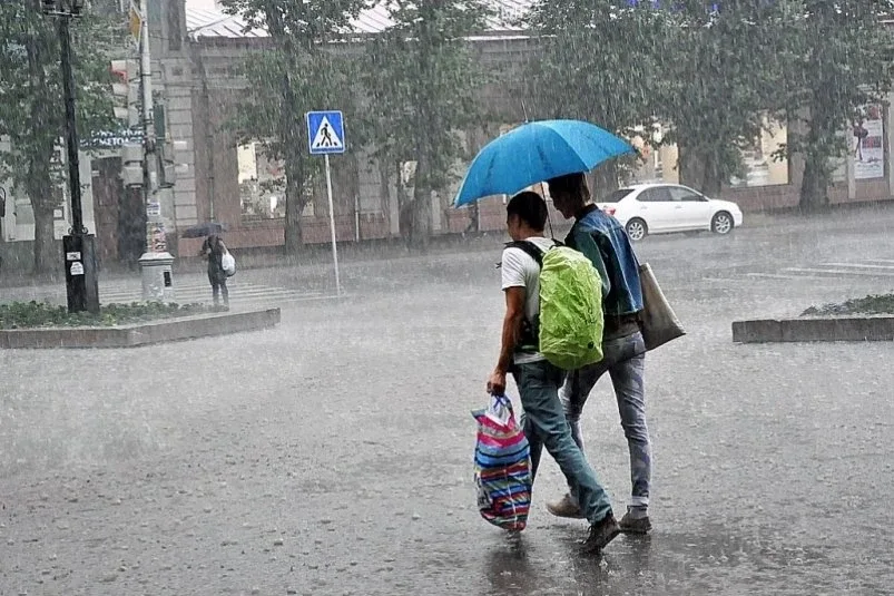 ☔Дожди обрушатся на Уссурийск в начале недели - подробности  Атмосферные фронты щедро оросят дождями