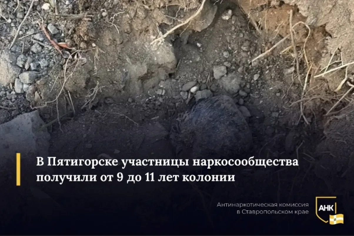 С 2021 по 2024 год две жительницы Ставрополья и одна из КБР занимались распространением наркотиков ч