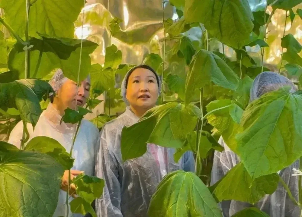 🌱 Новые агротехнологические классы откроются в шести районах Якутии  В министерстве сельского хозяйс
