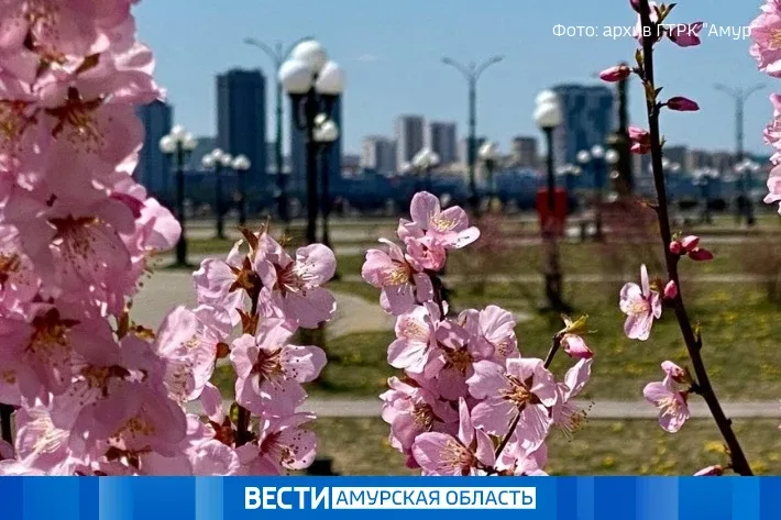 До +22, местами дожди: прогноз погоды на 16 мая в Приамурье  В Амурской области в ближайшие сутки со