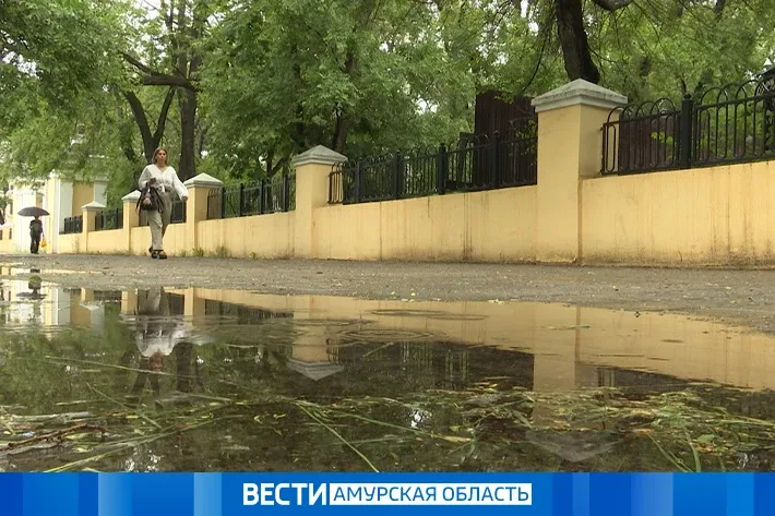 Местами сильный дождь: прогноз погоды на 23 мая в Приамурье  В регионе ожидается облачная погода с д