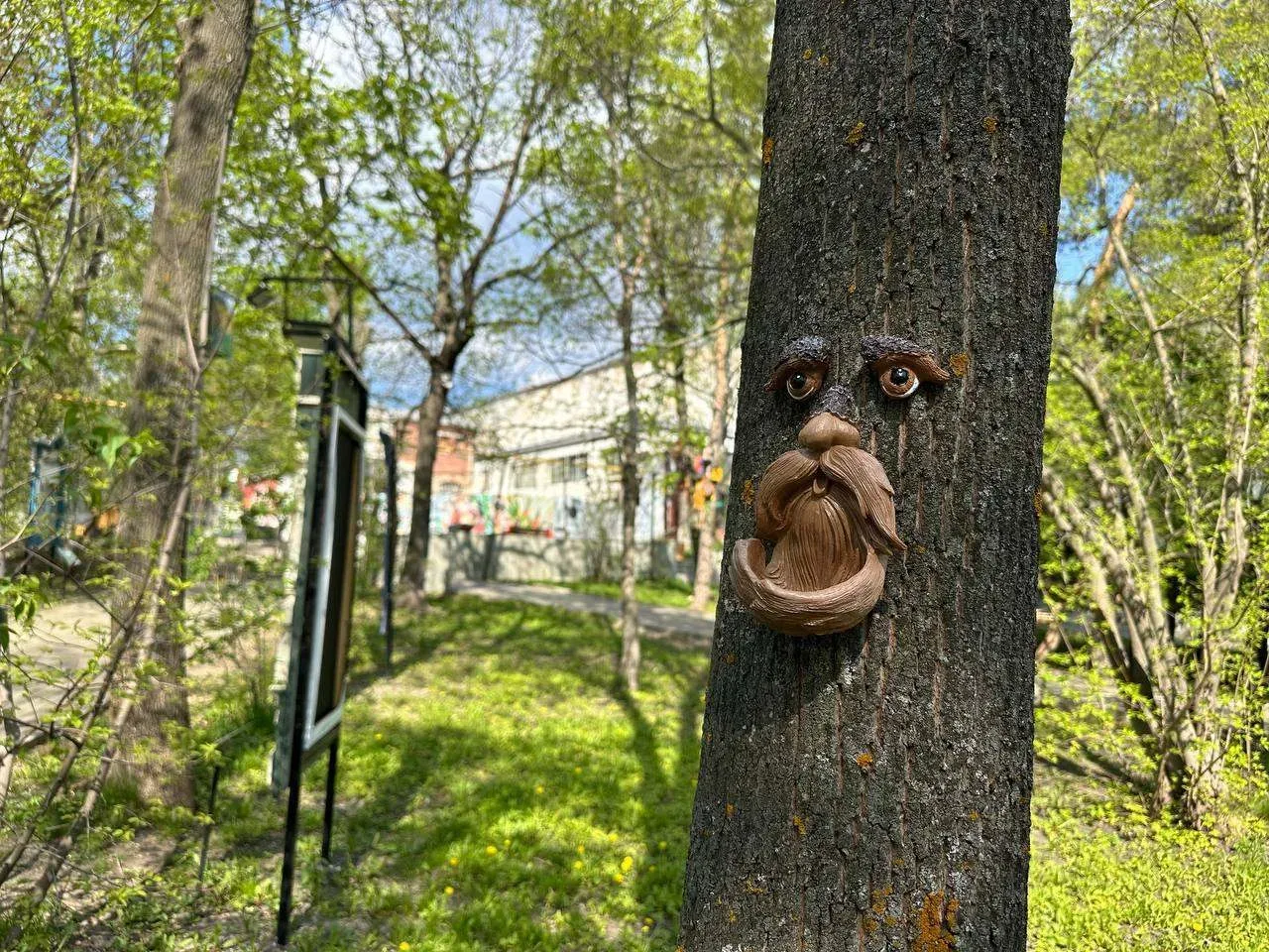 В музей наличников на «охоту»!  В коллекции музея «поселились» новые обитатели: птички-синички, воро