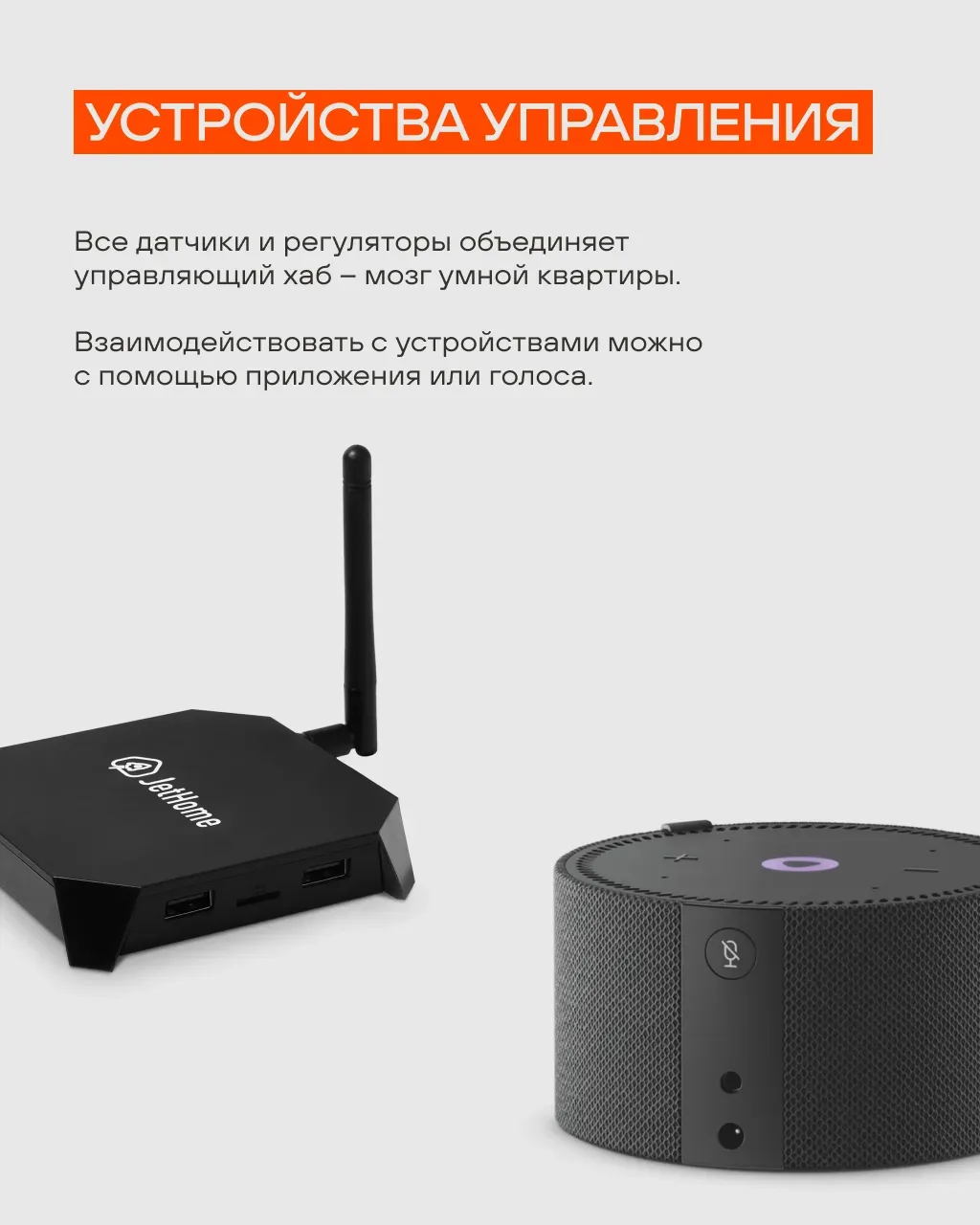 Защита от потопа и оставленного утюга: зачем нужен умный дом в квартирах «Железно»  В квартирах с ум