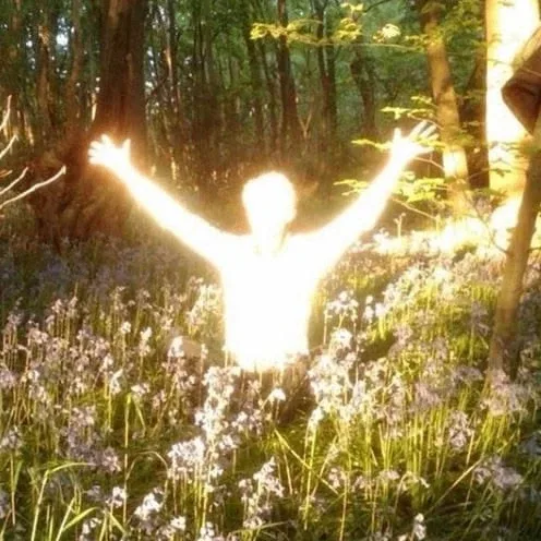 ☀ До +18 потеплеет на Ямале со следующей недели  С понедельника по пятницу — устойчивый плюс. В Нояб