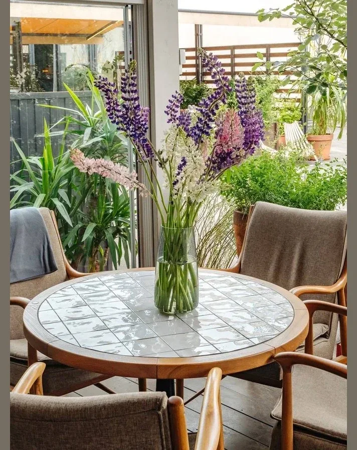 Террасы для ваших майских праздников  • Ava bistro (наб. Адмиралтейского канала, 2) Терраса среди жи