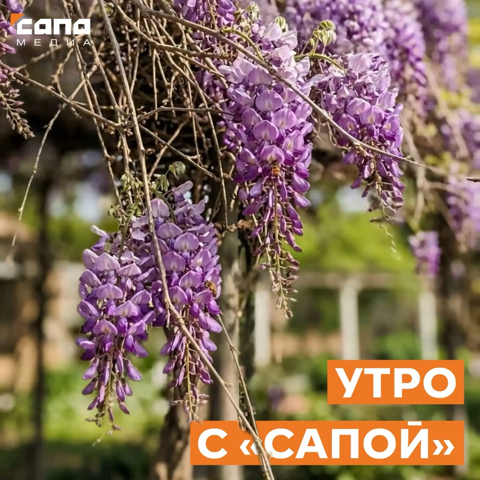 Информация, которая может тебе пригодиться  🔸 Сегодня во Владикавказе запланированы ограничения энер