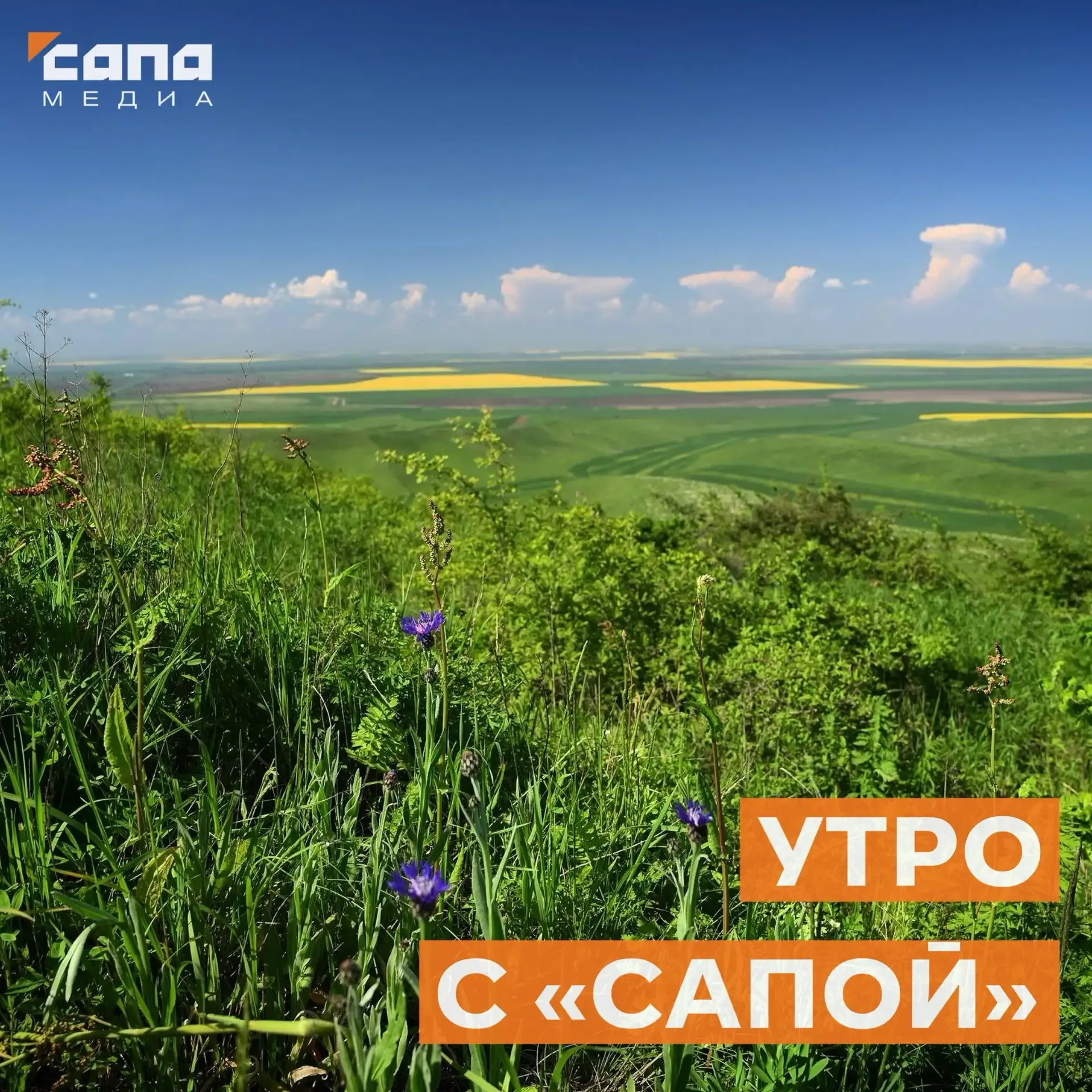 Информация, которая может тебе пригодиться  🔸 Сегодня во Владикавказе запланированы ограничения энер
