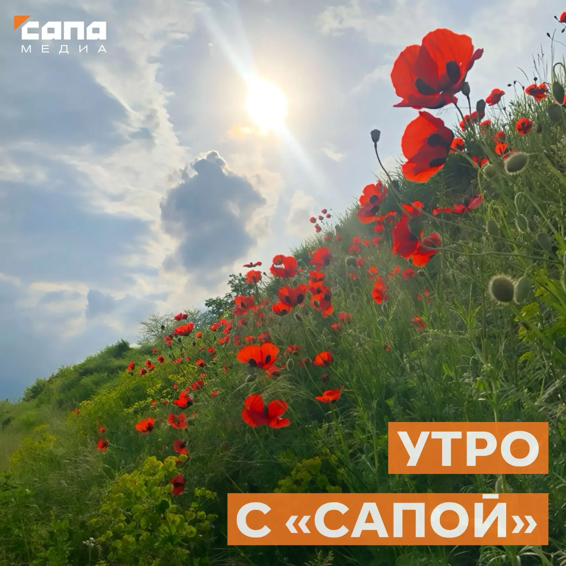 Информация, которая может тебе пригодиться  🔸 С 18 мая по 1 июня во Владикавказе не будет горячей во