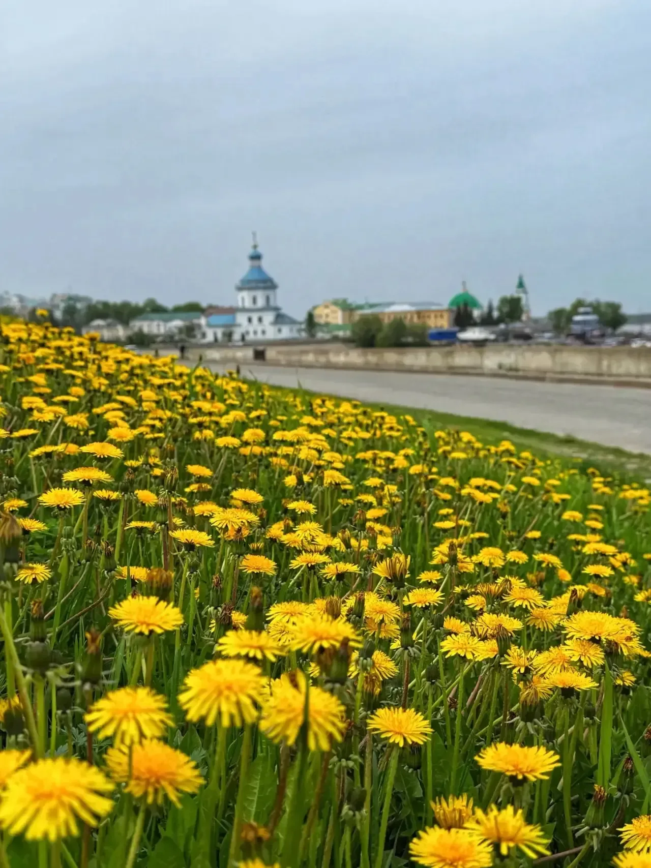 Доброе утро, любимый город! 🌼 Встречаем новый день в хорошем настроении. И пусть он принесет с собой